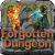 The Forgotten Dungeon